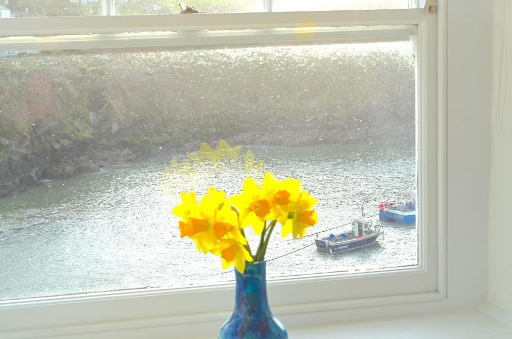 The Gallery Port Isaac Extérieur photo